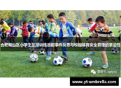 合肥蜀山区小学生足球训练悲剧事件反思与校园体育安全管理的紧迫性 合肥蜀山区小学生足球训练悲剧事件反思与校园体育安全管理的紧迫性